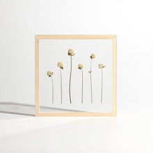 Load image into Gallery viewer, White Gomphrena flowers frame.
