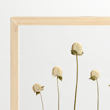 Load image into Gallery viewer, White Gomphrena flowers frame.
