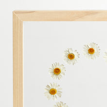 Load image into Gallery viewer, Daisy flowers frame
